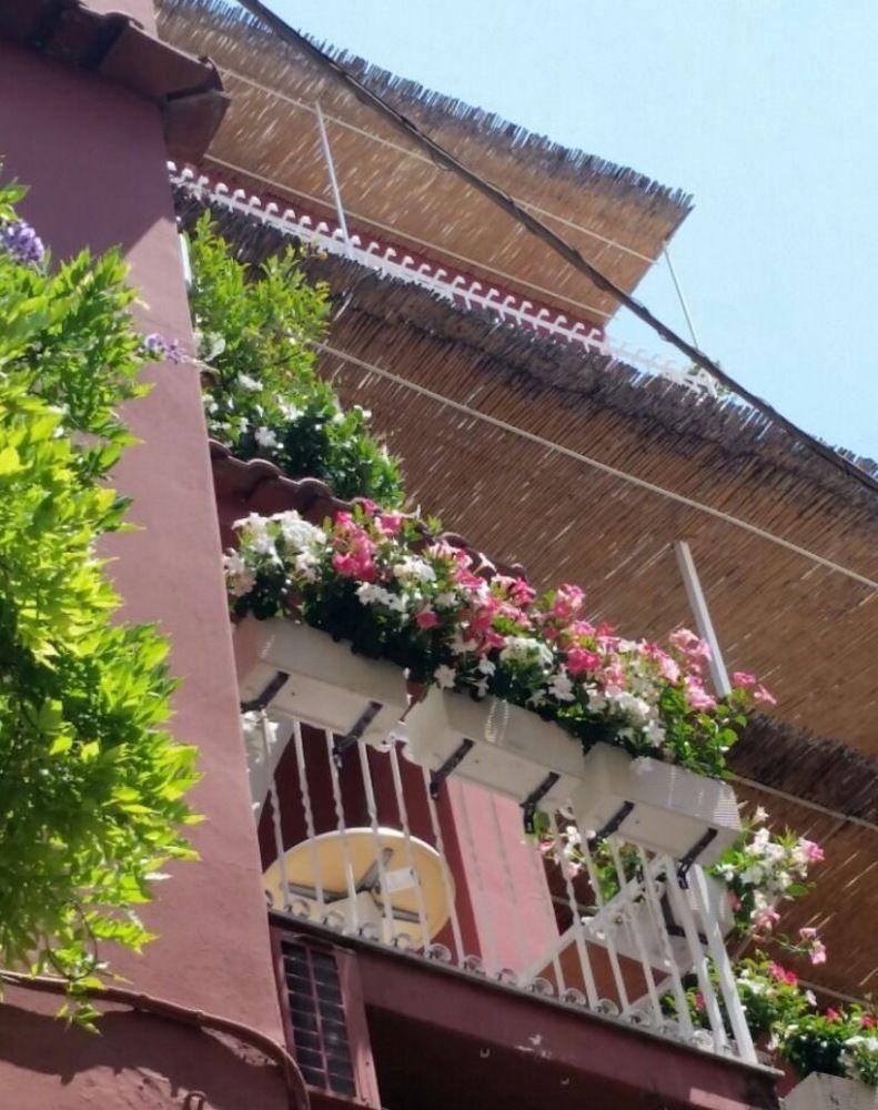 Villa La Tartana Positano Eksteriør bilde
